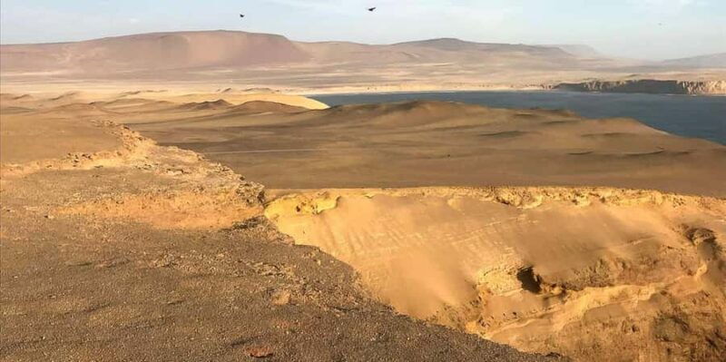 From Ica: Ballestas Islands + Paracas National Reserve - Authentic Insights from Travelers