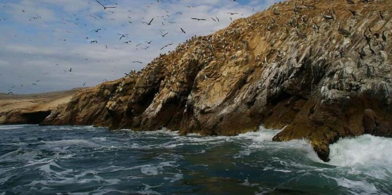 From Ica: Ballestas Islands + Paracas National Reserve - FAQ
