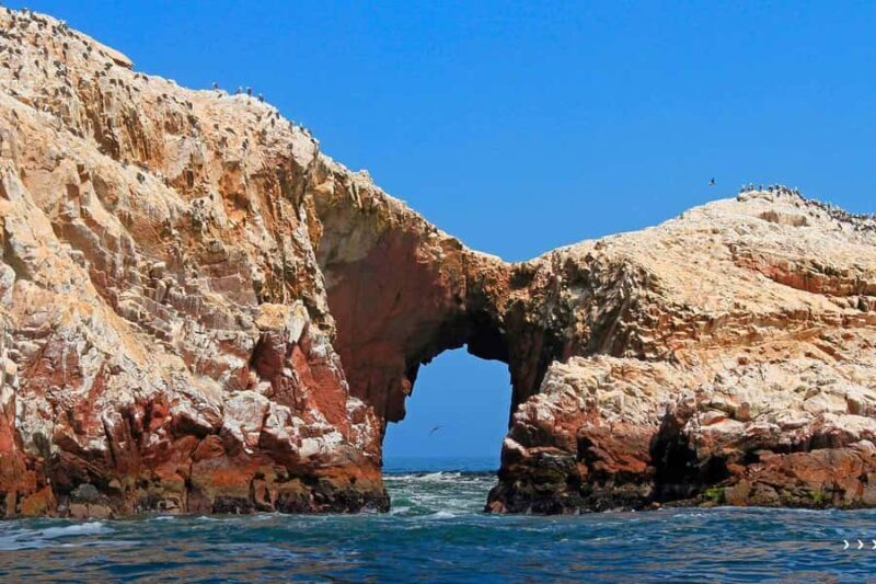 From Ica: Ballestas Islands + Paracas National Reserve - From Ica: Ballestas Islands + Paracas National Reserve — An Authentic Day Trip