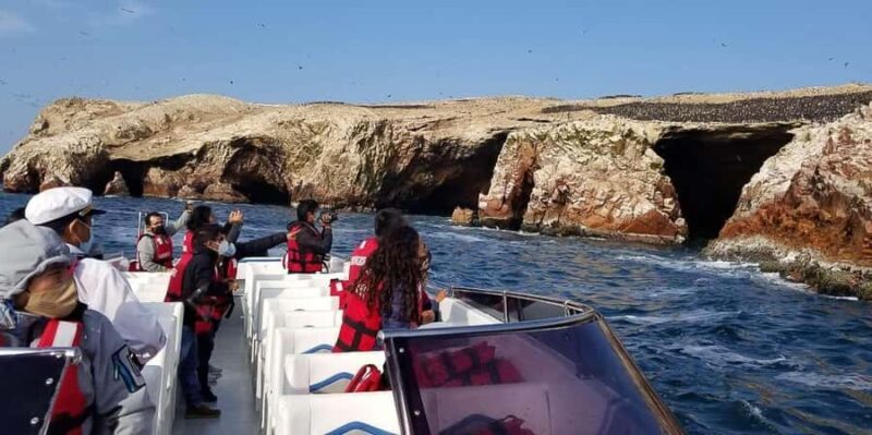 From Ica: Ballestas Islands + Paracas National Reserve - From Ica: Ballestas Islands + Paracas National Reserve