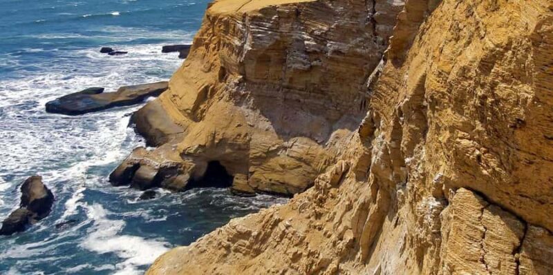 From Ica: Ballestas Islands + Paracas National Reserve - What Travelers Say