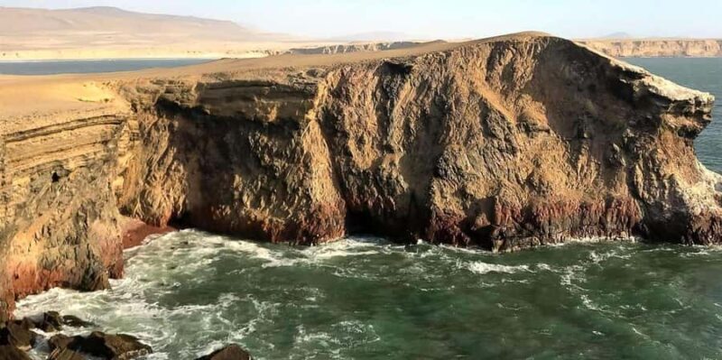 From Ica: Ballestas Islands + Paracas National Reserve - The Sum Up