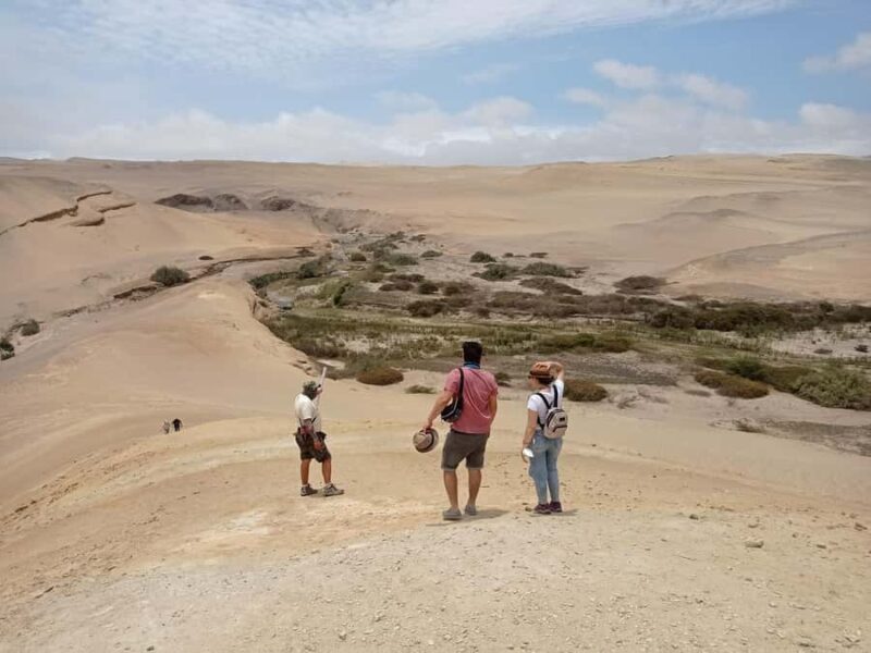 From Ica: Canyon of the lost Day Trip - FAQ