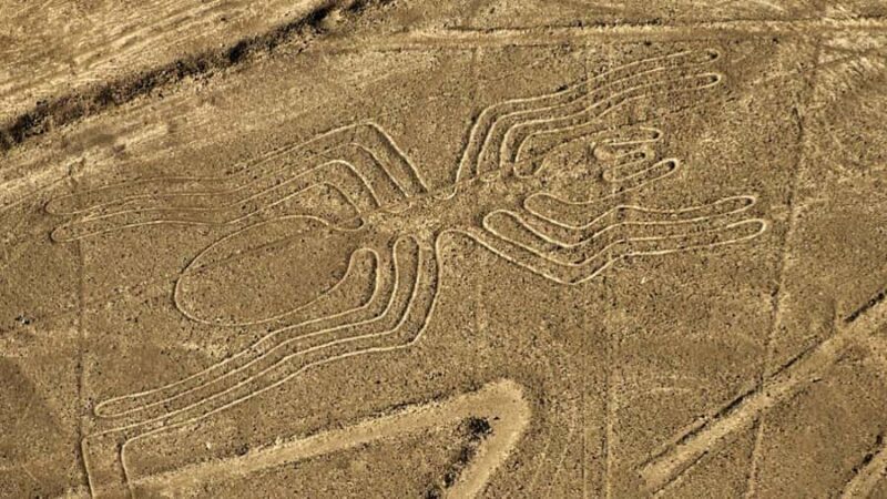 From Ica: Flight over the Nazca Lines - The Sum Up: Who Will Love This Tour?
