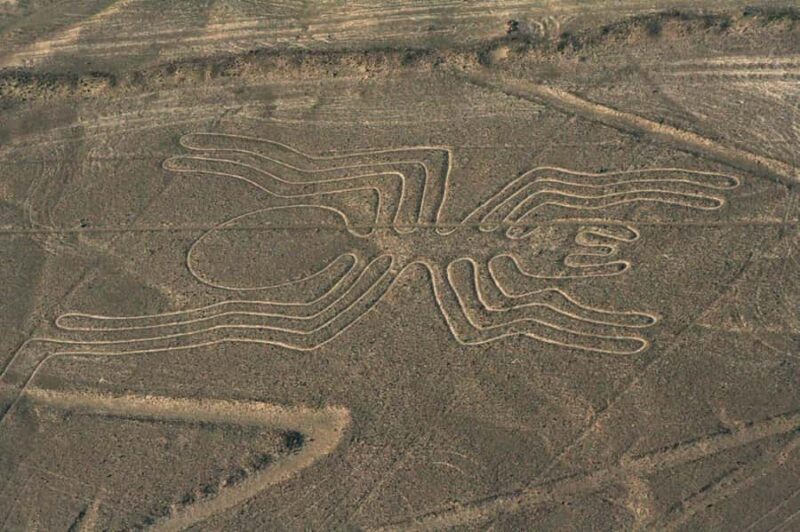 From Ica: Flight over the Nazca Lines - The Value of This Experience
