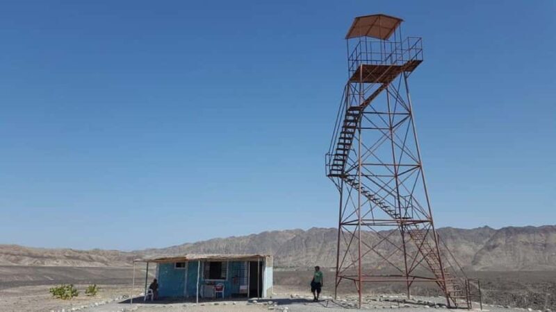 From Ica: Nazca Archaeological Tour - Key Points