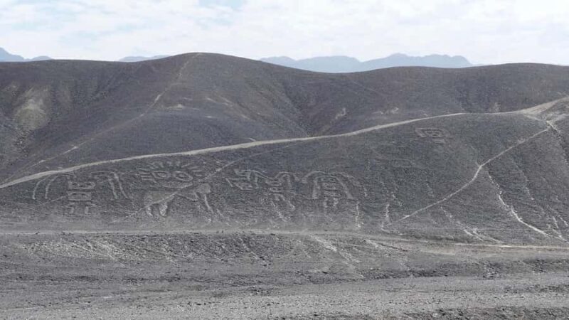 From Ica: Nazca Archaeological Tour - Who Will Enjoy This Tour Most?
