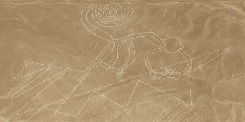 From Ica or Huacachina: Flight Tour Nazca Lines | Overflight - Key Points