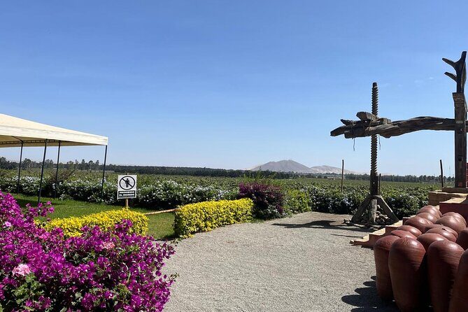 From Ica or Huacachina: Sunset pisco and buggy experience - The Desert and Sunset Experience in Huacachina