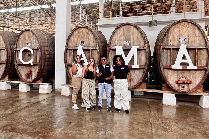 From Ica or Huacachina: Sunset pisco and buggy experience - Who Should Consider This Tour?