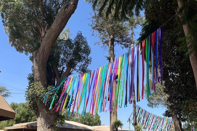 From Ica or Huacachina: Sunset pisco and buggy experience - FAQs