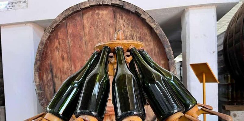 From Ica: Pisco and buggy excursion in Huacachina at sunset - Practical Details and Tips