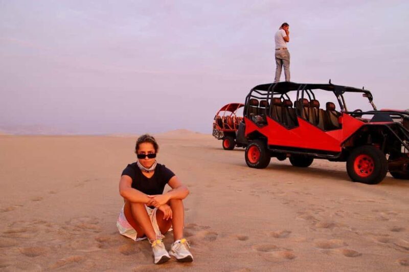 From Ica: Wine, pisco and dune buggy experience - Who should consider this tour?