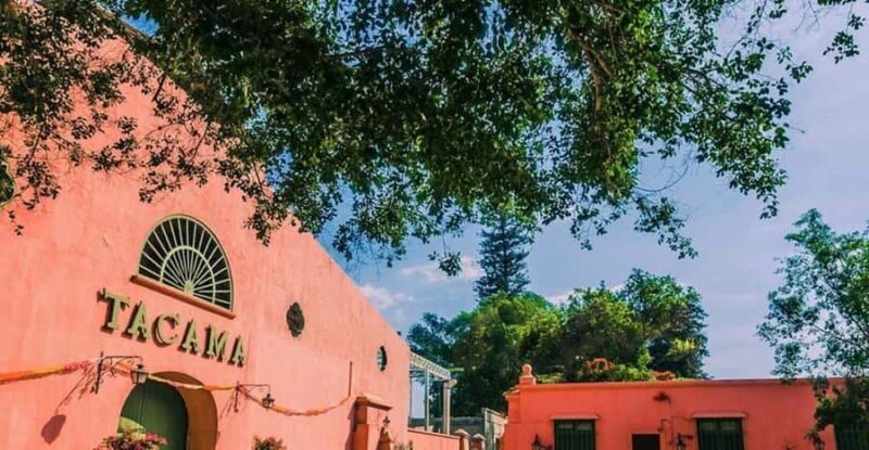 From Ica: Winery Tour with Pisco and Wine Tastings - Key Points