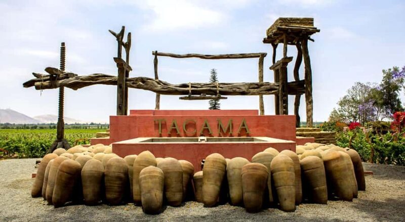 From Ica: Winery Tour with Pisco and Wine Tastings - An In-Depth Look at the Ica Winery Tour