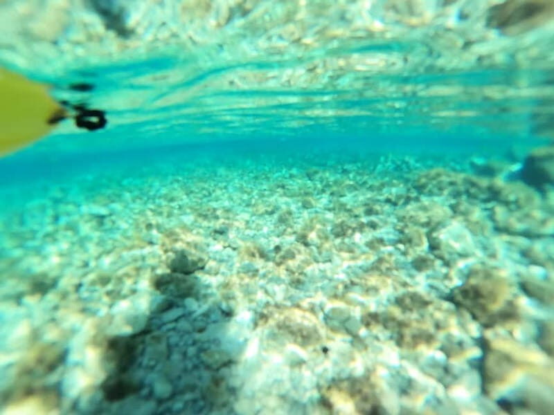 From Inmood Hotel Alcanada. Kayaking Guided Route Island - FAQ