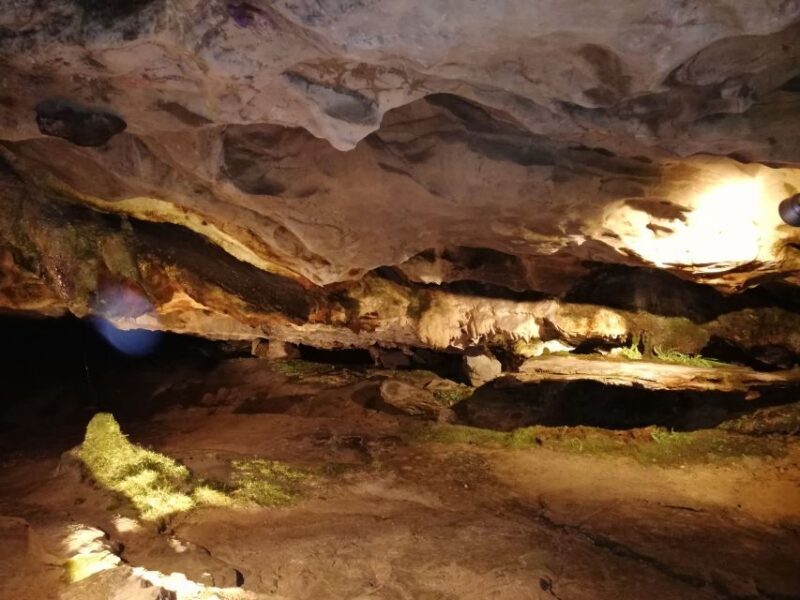 From Interlaken: Beatus Caves, Blue Lake and Lake Thun Tour - Authentic Experiences from Travelers