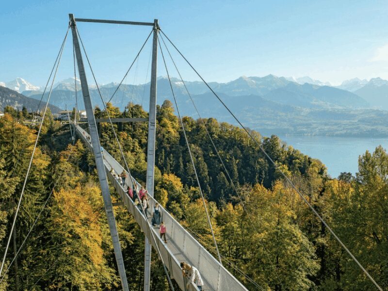 From Interlaken: Crash Landing on You Private Day Trip - Ending at the Victoria Jungfrau Hotel