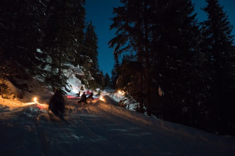 From Interlaken: Night Sledding - An Adventurous Night in the Swiss Alps