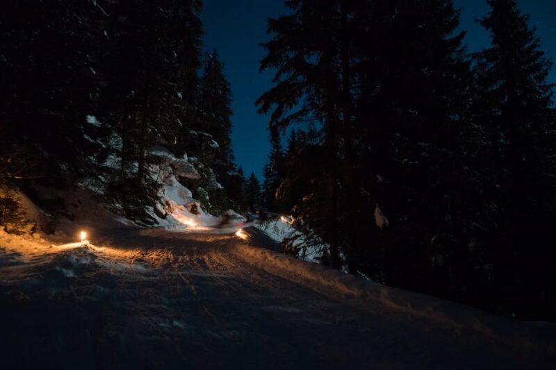 From Interlaken: Night Sledding - Final Thoughts: Who Should Consider This Tour?
