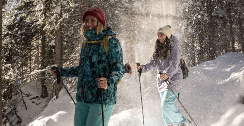 From Interlaken: Wetterhorn Trail Snowshoe Hiking Tour - From Interlaken: Wetterhorn Trail Snowshoe Hiking Tour