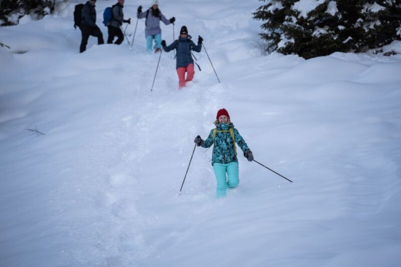 From Interlaken: Wetterhorn Trail Snowshoe Hiking Tour - The Experience in Detail