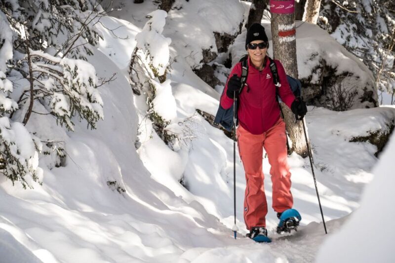 From Interlaken: Wetterhorn Trail Snowshoe Hiking Tour - Practical Details and Logistics