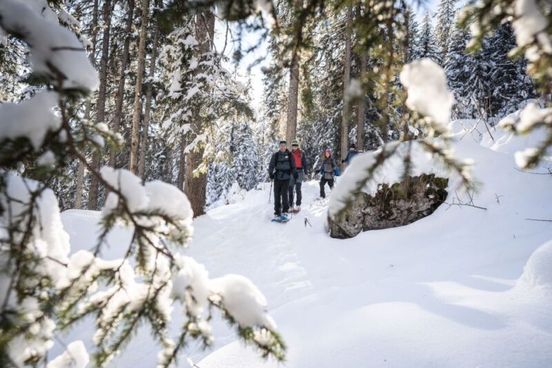 From Interlaken: Wetterhorn Trail Snowshoe Hiking Tour - What the Reviews Say