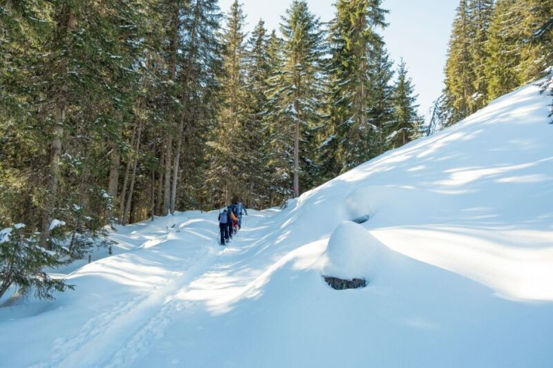From Interlaken: Wetterhorn Trail Snowshoe Hiking Tour - The Sum Up