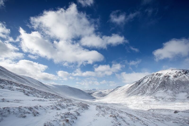From Inverness: Cairngorms National Park and Whisky Tour - Glenmore Forest Park and Loch Morlich