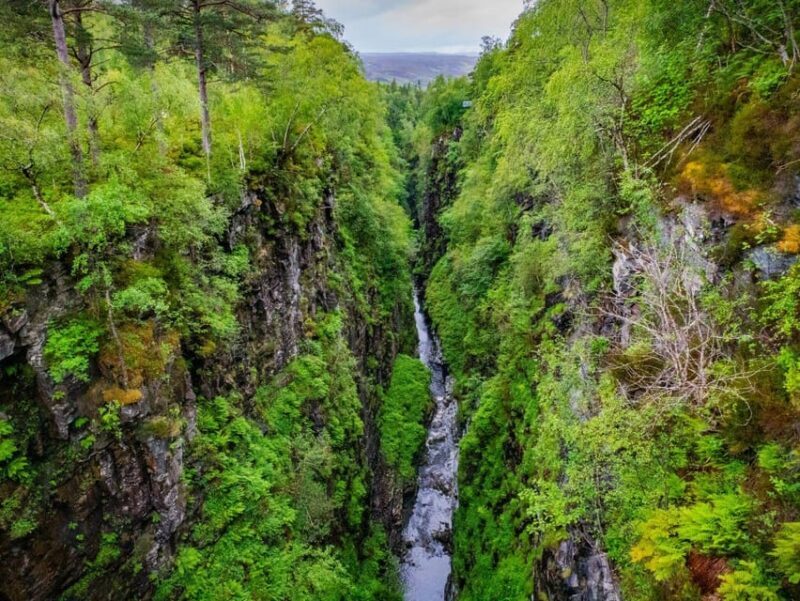 From Inverness: Scottish Highlands Adventure Full Day Tour - Final Thoughts: The Highland Experience You’ll Remember
