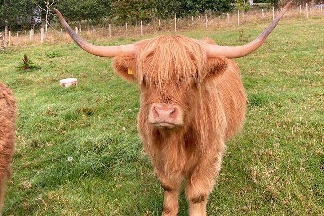 From Inverness visit Loch Ness, Culloden & Cawdor Castle Day Tour - Wrapping It Up: Is This Tour for You?