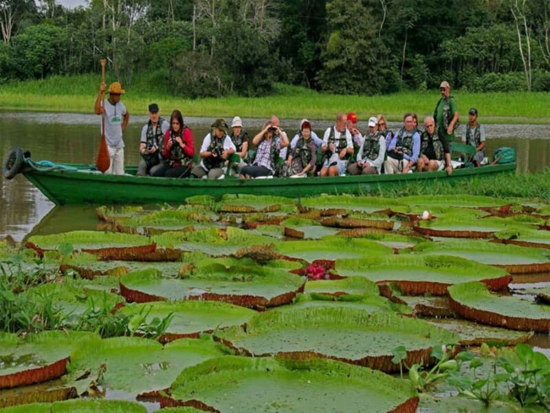 From Iquitos ||3-day tour Pacaya Samiria National Reserve || - Key Points