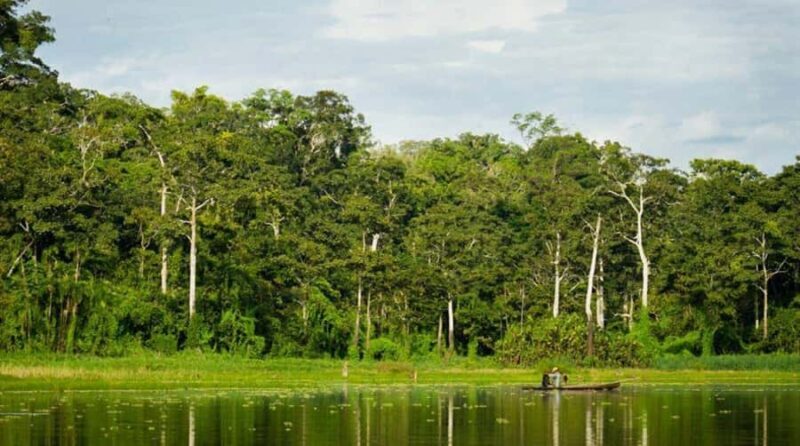 From Iquitos ||3-day tour Pacaya Samiria National Reserve || - An In-Depth Look at the 3-Day Amazon Adventure