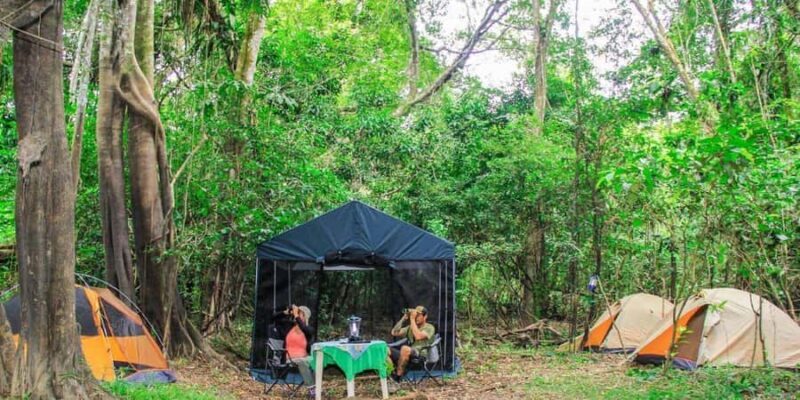 From Iquitos ||3-day tour Pacaya Samiria National Reserve || - Who Will Love This Tour?