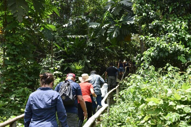 From Iquitos: 4-day Pacaya Samiria National Reserve Tour - FAQ
