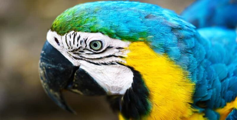 From Iquitos: 6-Day Amazon Jungle Camping Expedition - What Makes This Tour Stand Out