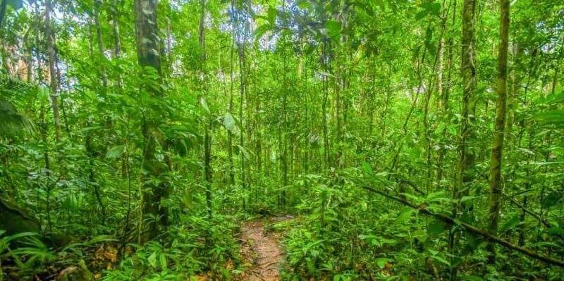 From Iquitos : 6 day Amazon Jungle Tour - FAQ