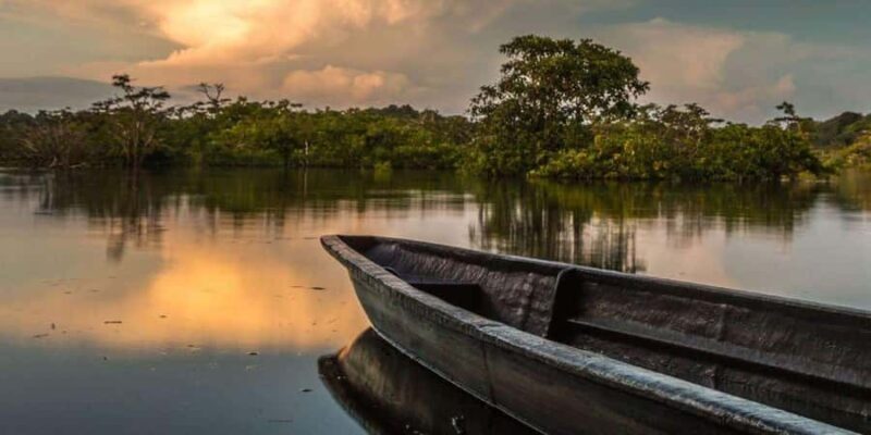 From Iquitos | 6-day Amazon rainforest tour - Day 1: Immersive Jungle Experiences