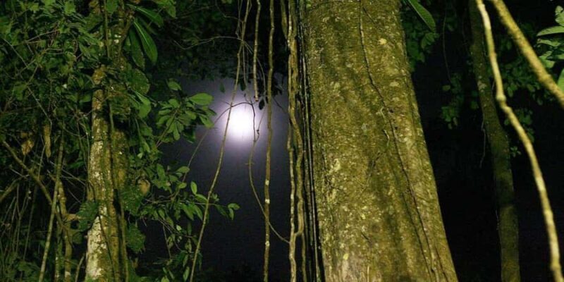 From Iquitos | 6-day Amazon rainforest tour - Who Should Consider This Tour?