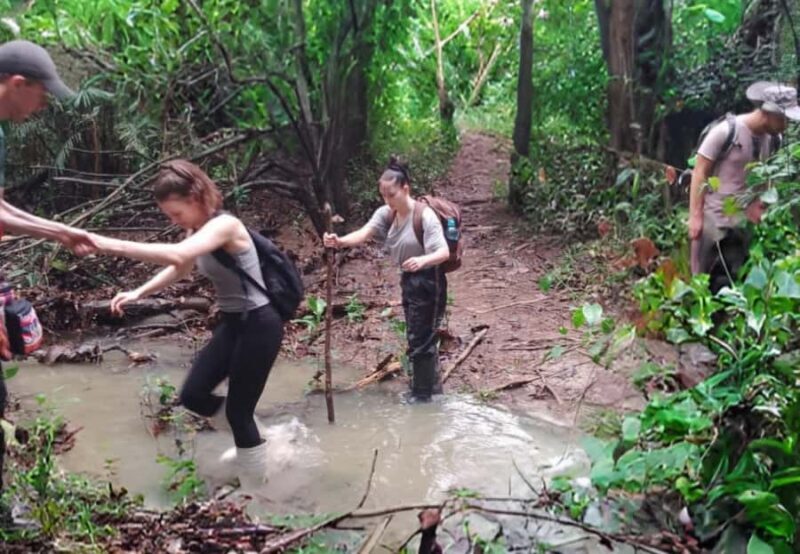 From Iquitos: 7-Day Amazon Jungle Adventure - An Overview of the Amazon Adventure