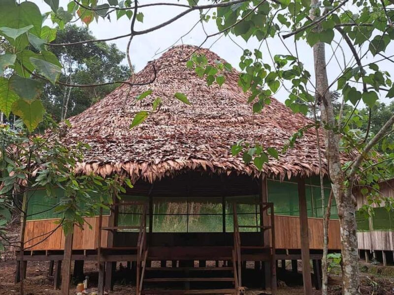 From Iquitos: Ayahuasca Ceremony in Iquitos - From Iquitos: Ayahuasca Ceremony in Iquitos — A Deep Dive into Amazonian Tradition