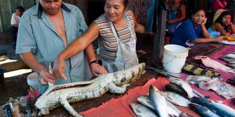 From iquitos: Beatiful Island city tour + Belen market - Wildlife and Conservation: Manatees and Amazonian Fauna