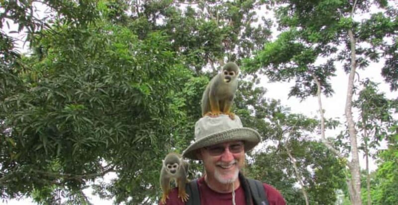 From Iquitos || Excursion to the Monkey Island Full Day || - What’s Included and What’s Not