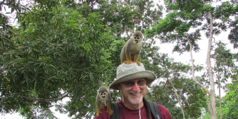 From Iquitos || Excursion to the Monkey Island Full Day || - From Iquitos to Monkey Island: An In-Depth Look at a Full-Day Amazon Adventure