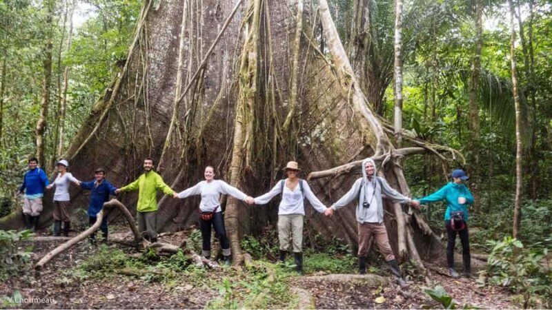 From Iquitos: Full day tour in the Peruvian jungle - Key Points