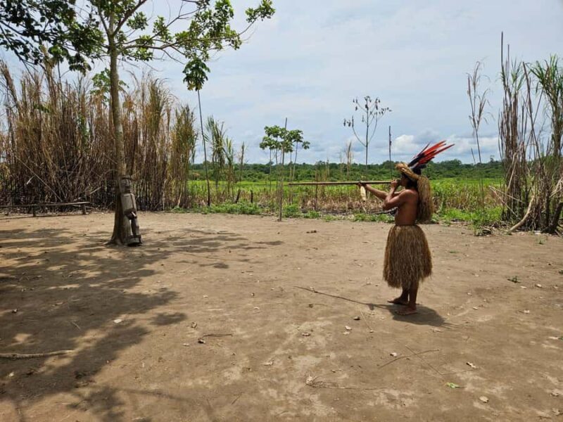 From Iquitos: Full day tour in the Peruvian jungle - Lunch and Lagoon Canoe Ride