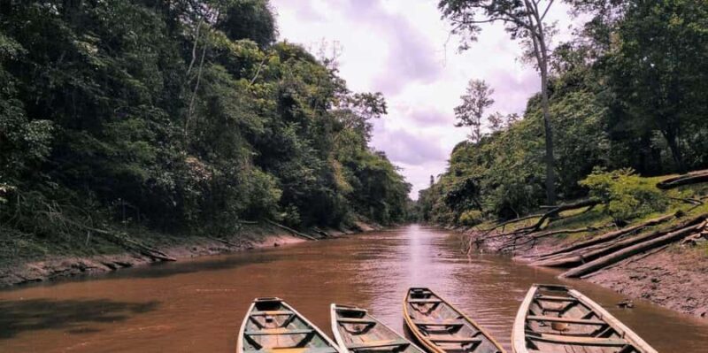 From Iquitos || Navigate the Amazon River - Full day || - From Iquitos || Navigate the Amazon River - Full Day ||