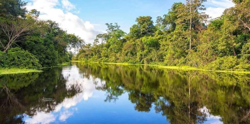 From Iquitos || Navigate the Amazon River - Full day || - Engaging First Look: An Authentic Amazon Adventure