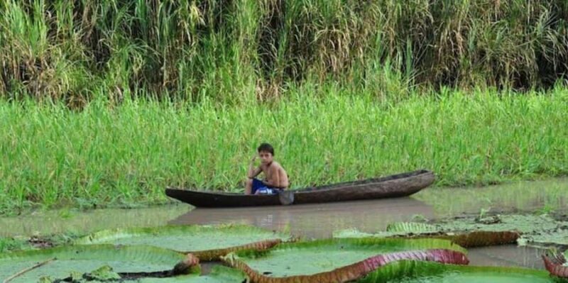 From Iquitos || Navigate the Amazon River - Full day || - Detailed Review of the Amazon River Full-Day Tour